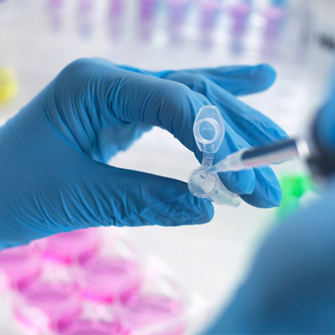 Precision Lab Tests Precision Diagnostics Laboratory